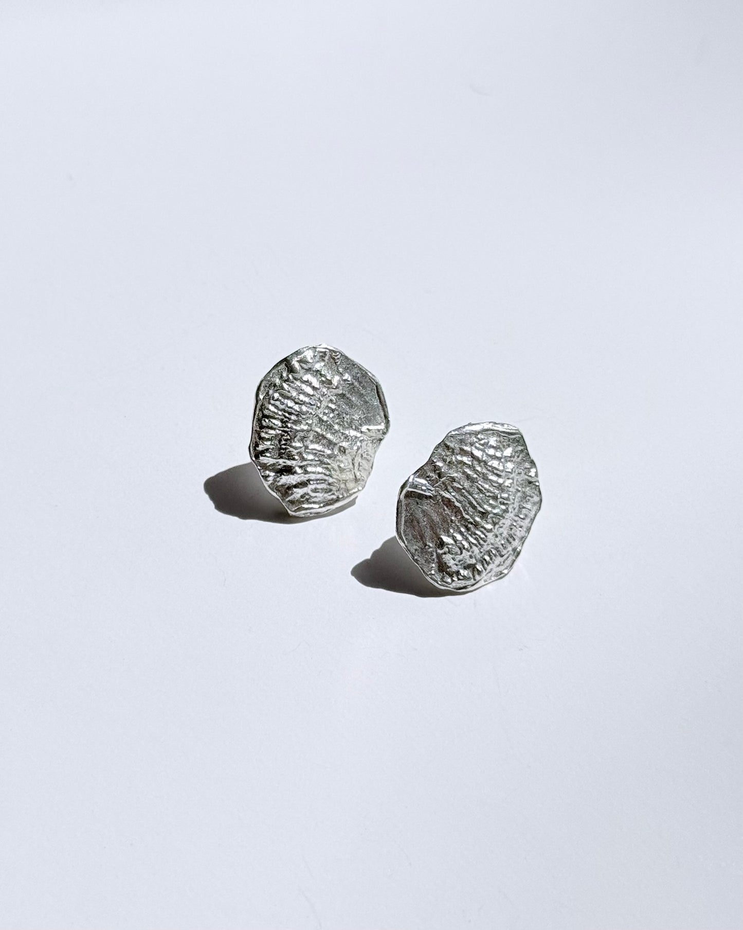 Fossil Earrings