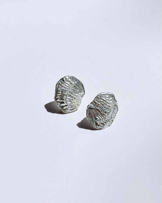 Fossil Earrings