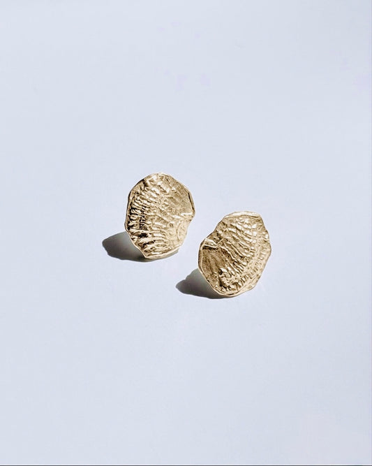 Fossil Earrings Gold