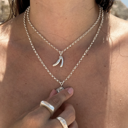 Wishbone Necklace